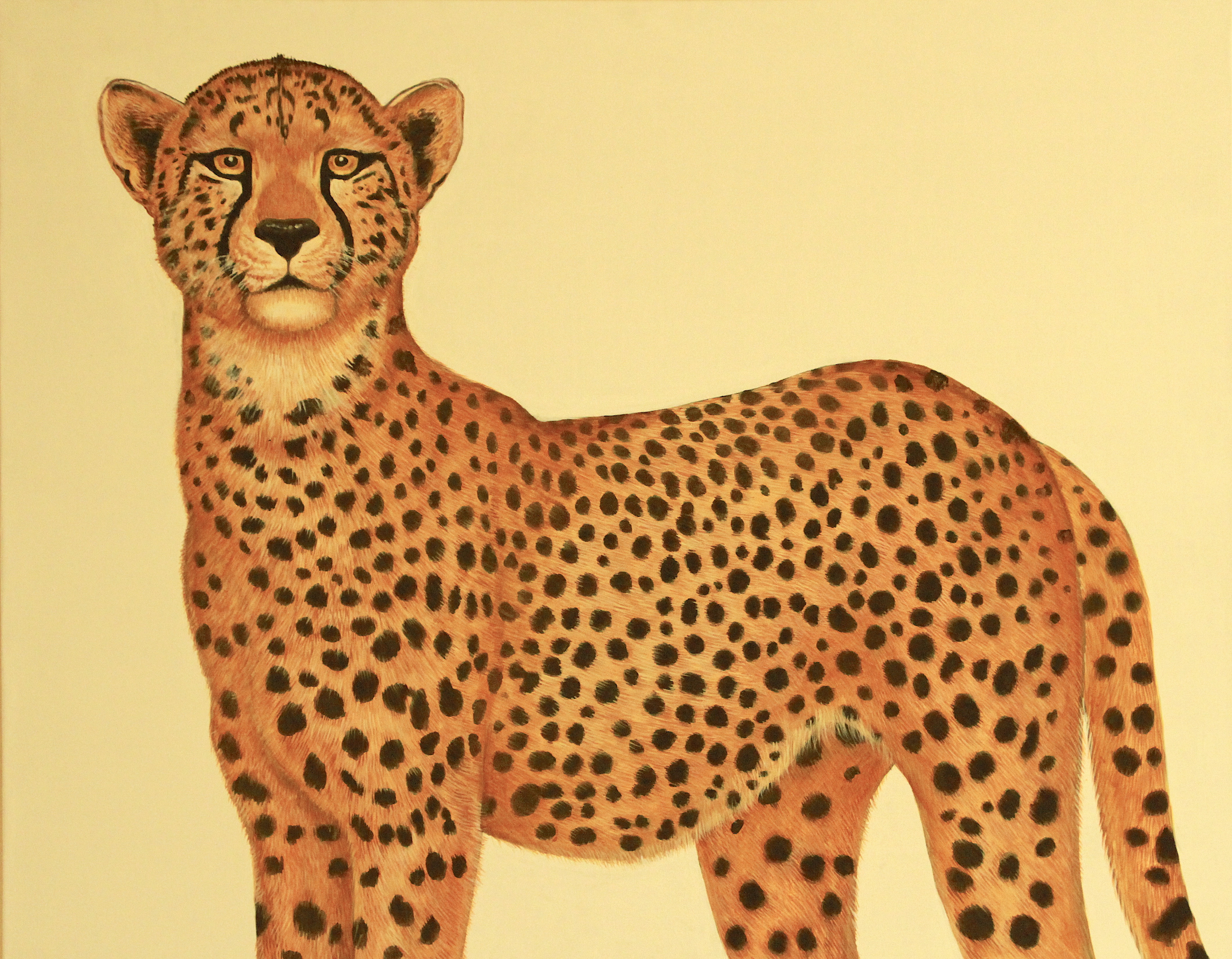 Peter Arnold - Animals