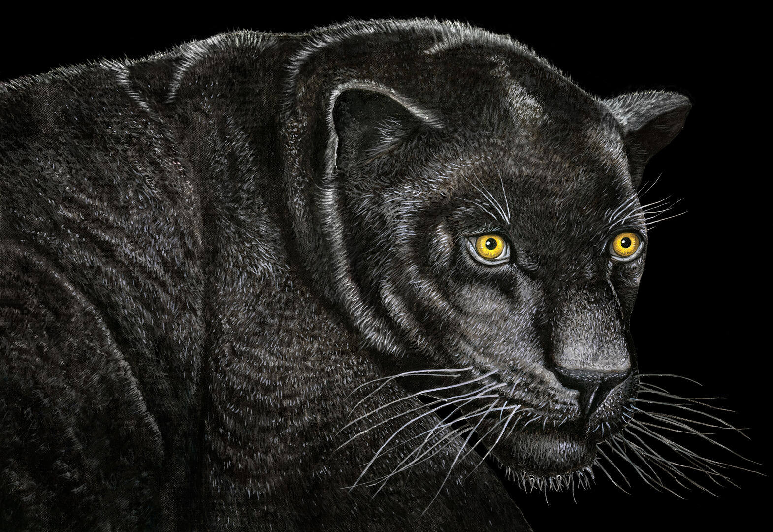 Peter Arnold - Animals