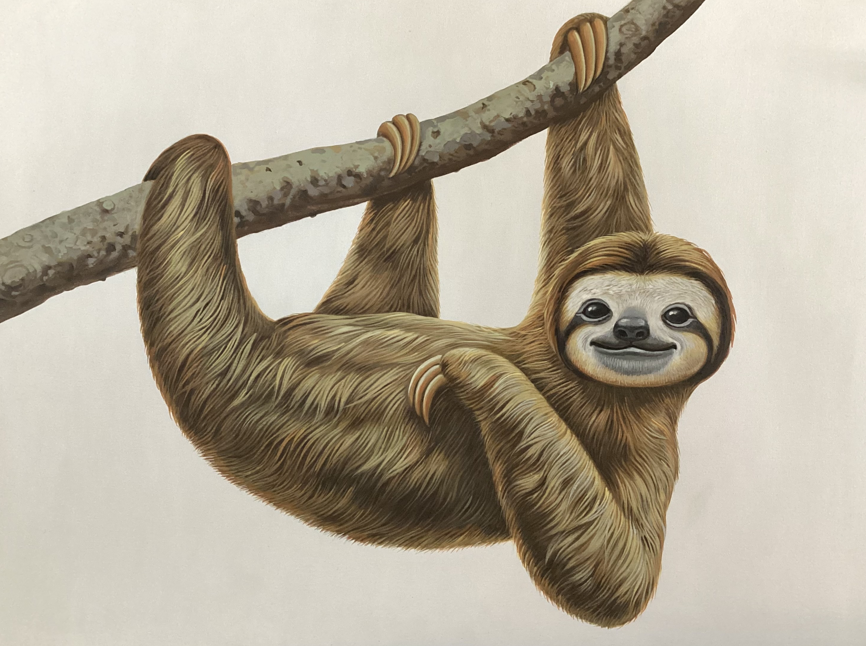 Peter Arnold - Animals