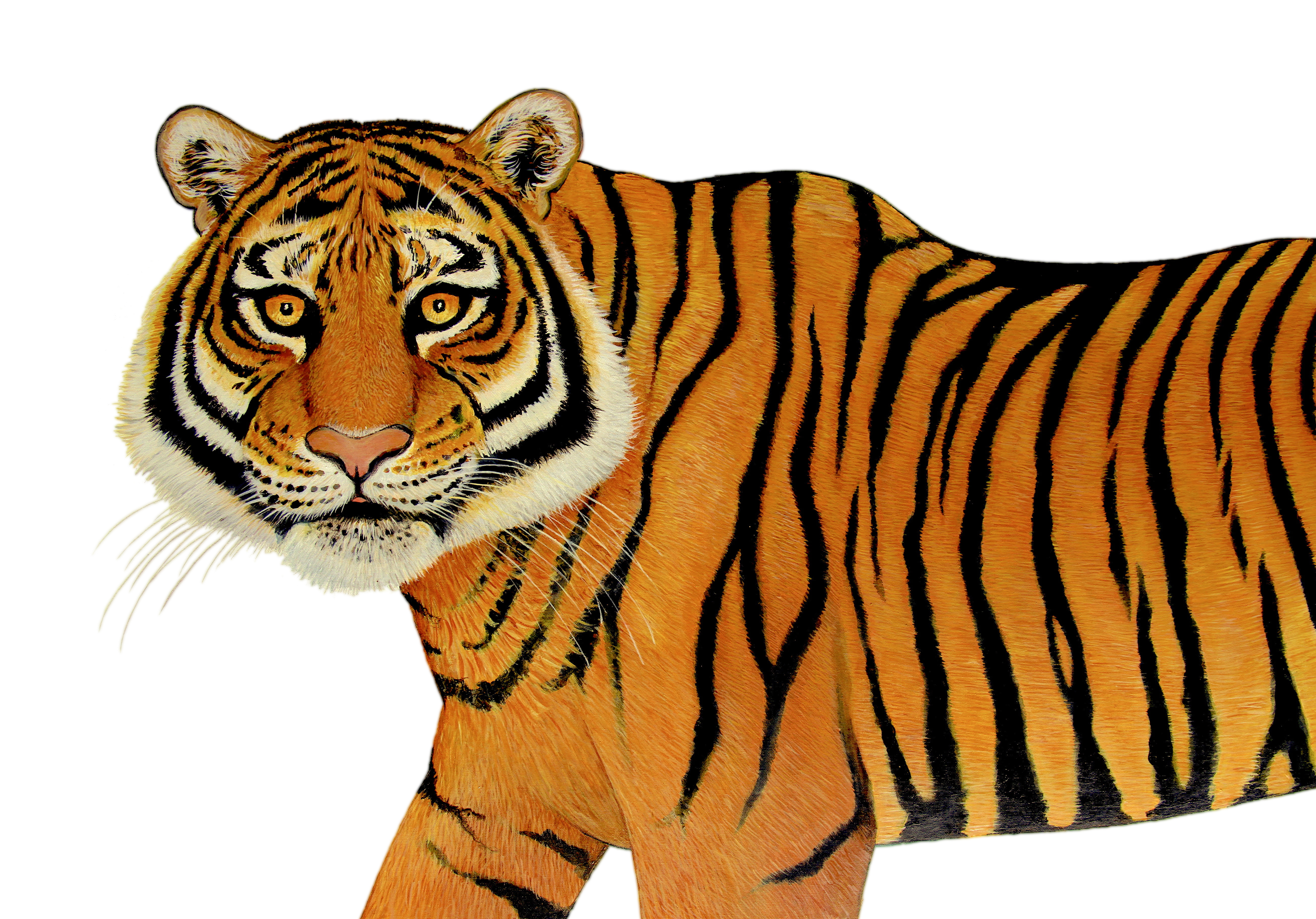 Peter Arnold - Animals