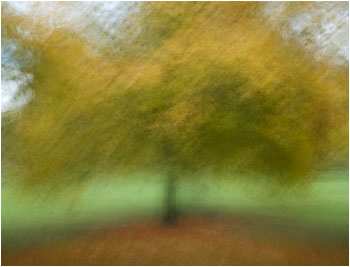 Peter Arnold