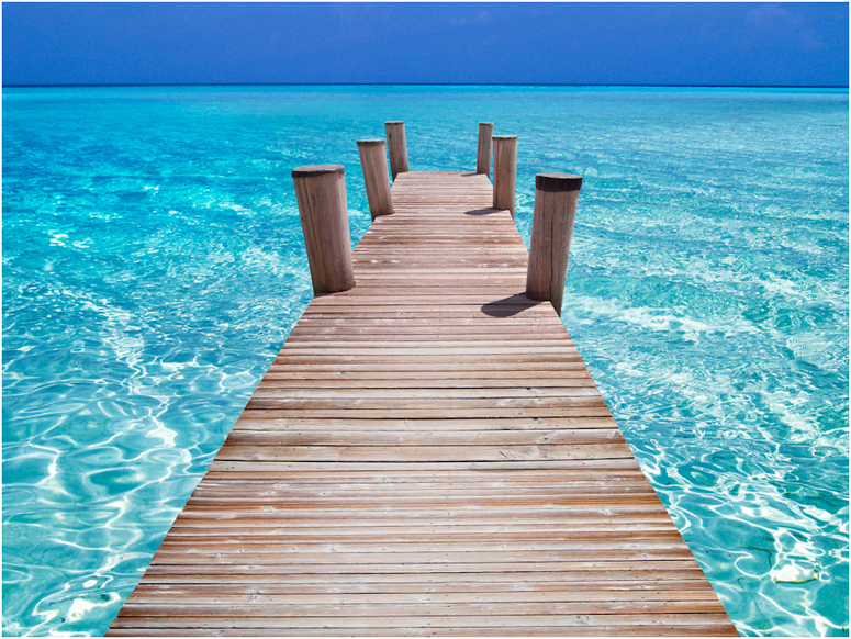 Peter Arnold - Tropical Horizons