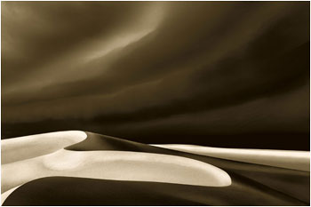 Peter Arnold