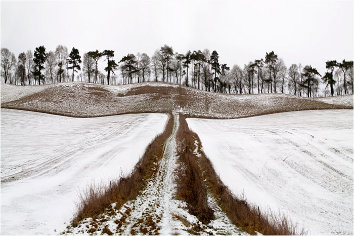 Peter Arnold