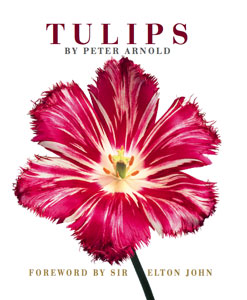 Peter Arnold - Tulips - click here to buy this book