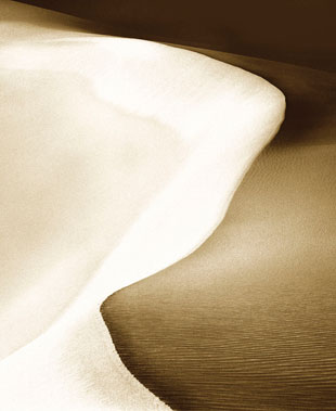 Sand Dunes 6
