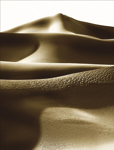 Sand Dune 5