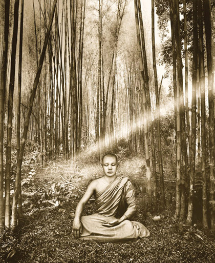 Buddha in Trees